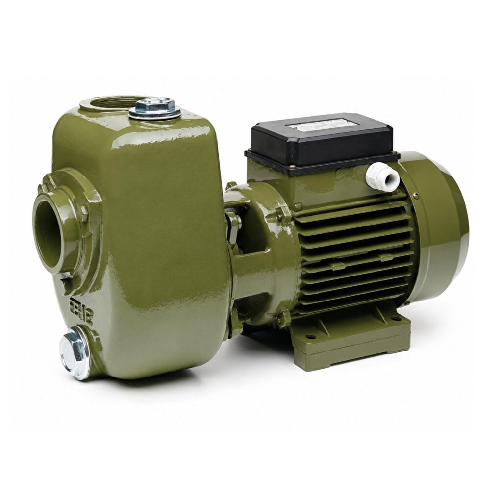 SAER AP/97-A Threaded Centrifugal Trash Pump — 8,300 GPH, 1.5 HP, 2 In. Ports, 115 Volts