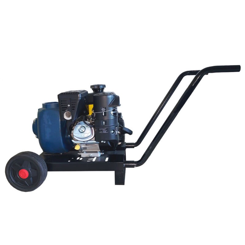Gasoline Self-Priming Motor Pump with KOHLER Engine SH 265 - 6.5 HP - JBA265/A22B2