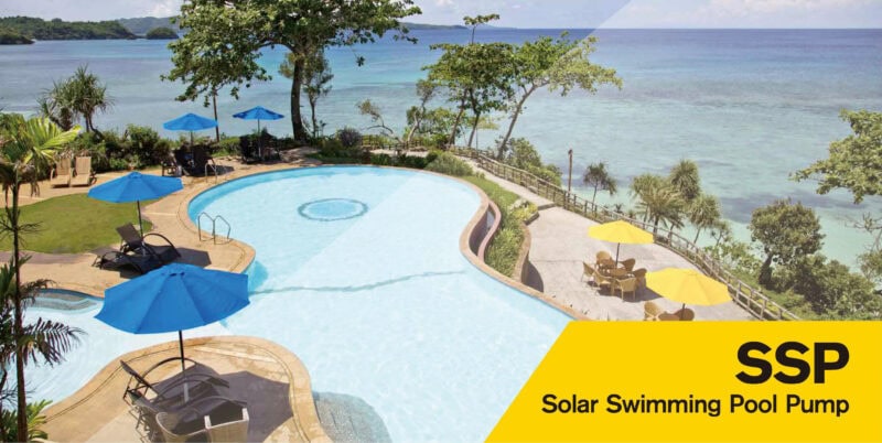 Brushless Solar Swimming Pool Pump with Controller - 48V, 500watts, 4500GPH, Model# SSP500-15/17B - Image 2